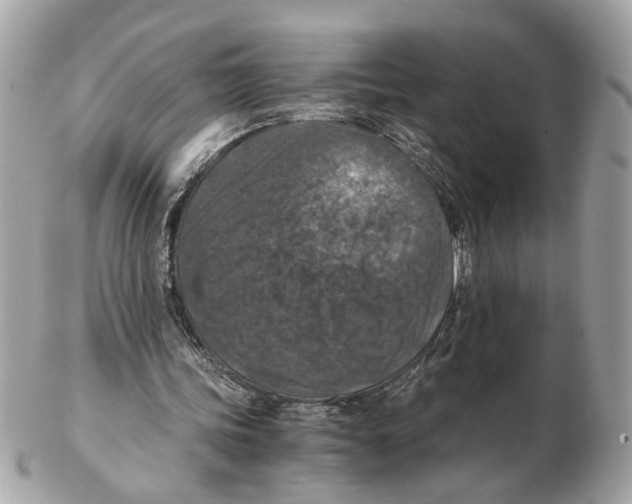 X0000102390339200808291428