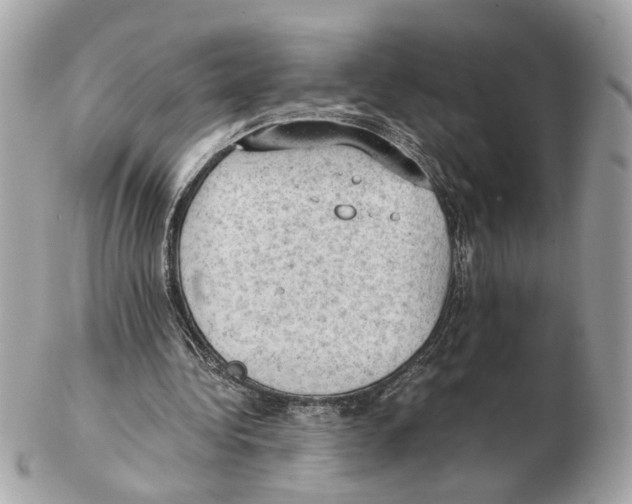 X0000102390340200808291428
