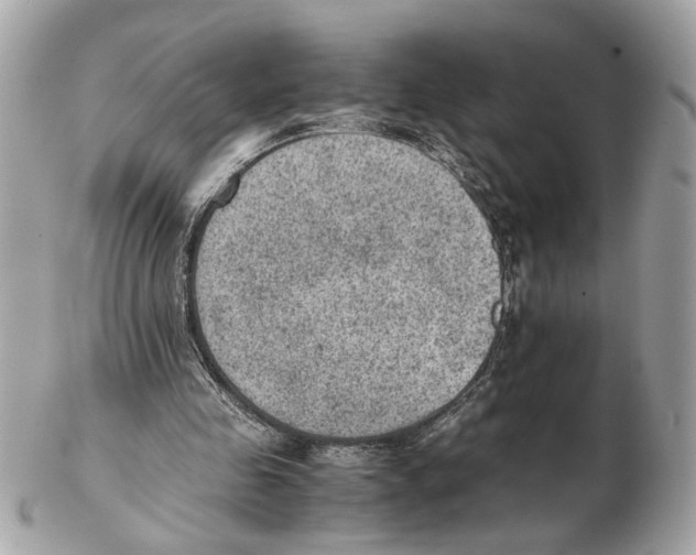 X0000102390341200808291428