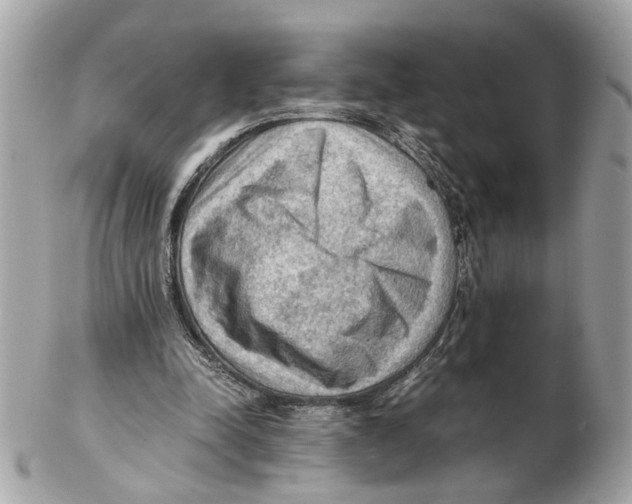 X0000102390342200808291428