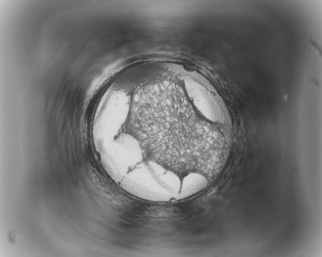 X0000102390343200808291428