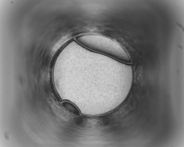 X0000102390344200808291428