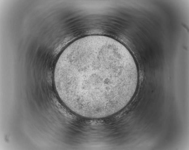 X0000102390345200808291428