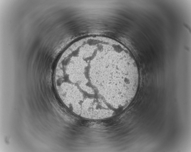 X0000102390346200808291428