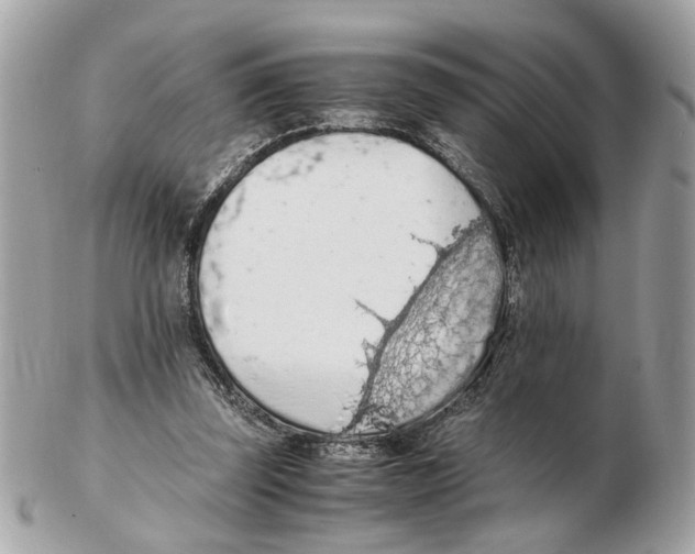 X0000102390347200808291428