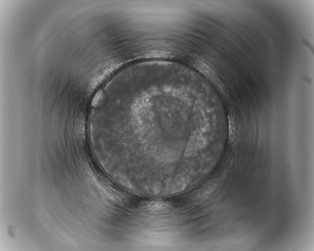 X0000102390348200808291428
