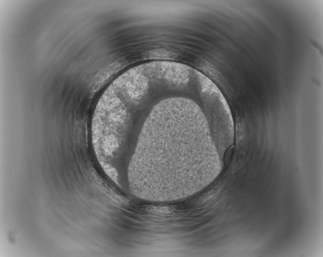 X0000102390349200808291428