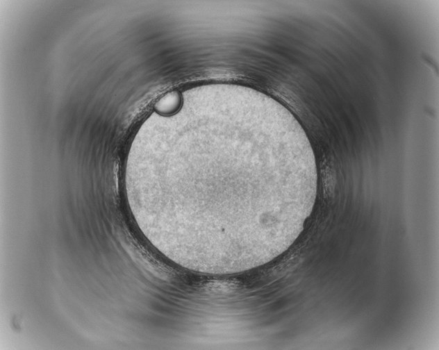 X0000102390350200808291428