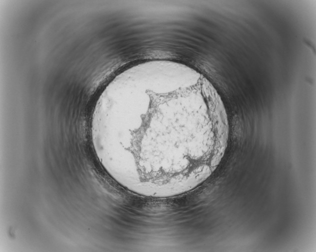 X0000102390351200808291428