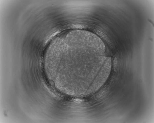 X0000102390352200808291428