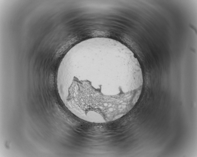X0000102390353200808291428