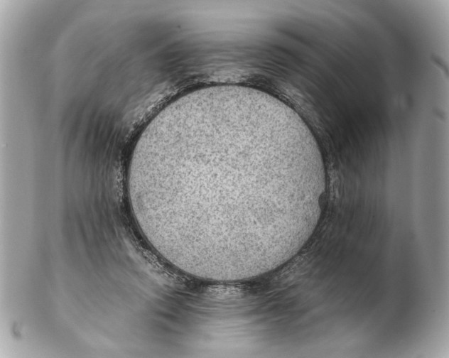 X0000102390354200808291428