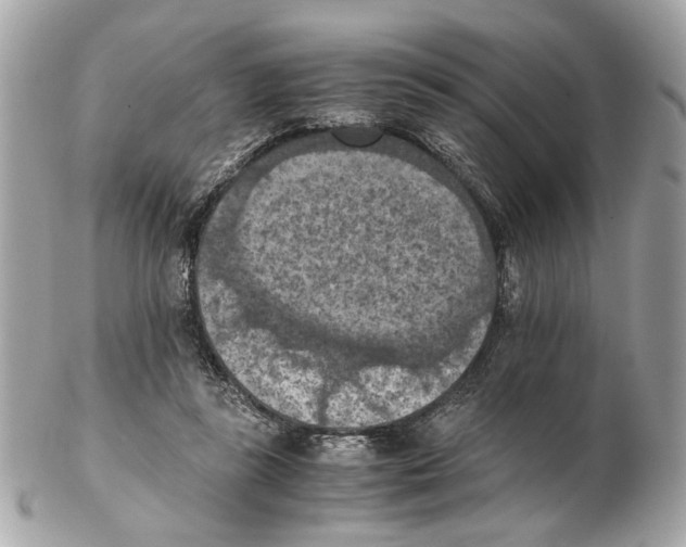 X0000102390355200808291428