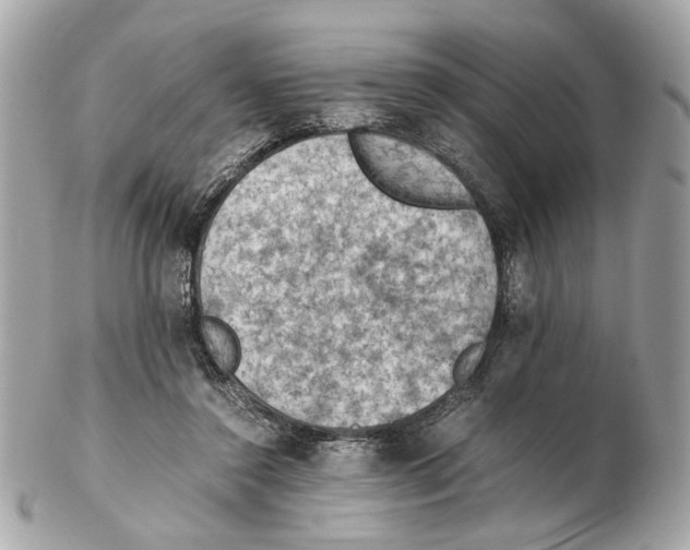 X0000102390356200808291428