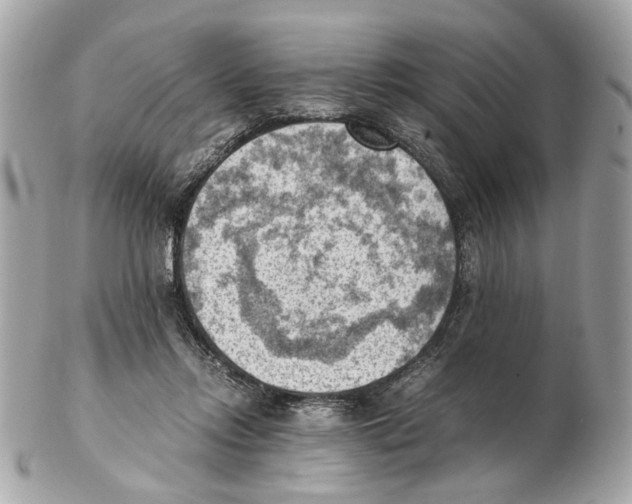 X0000102390358200808291428