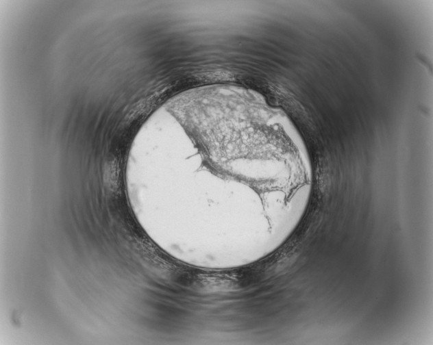 X0000102390359200808291428
