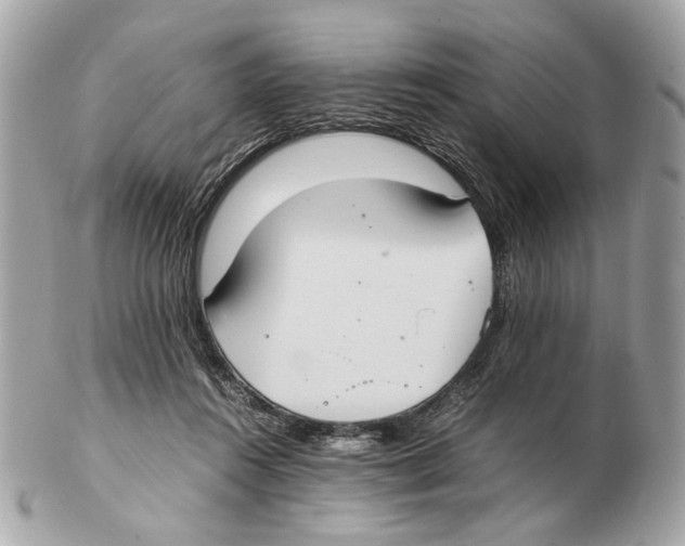 X0000102390360200808291428