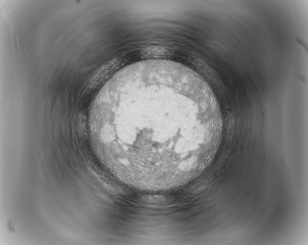 X0000102390361200808291428