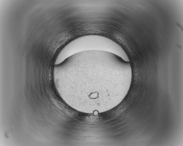 X0000102390362200808291428