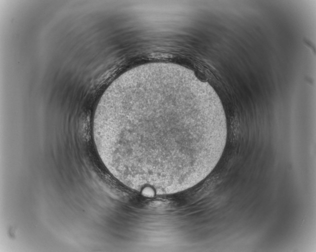 X0000102390364200808291428