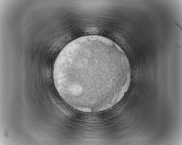X0000102390365200808291428