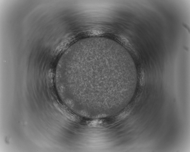 X0000102390366200808291428