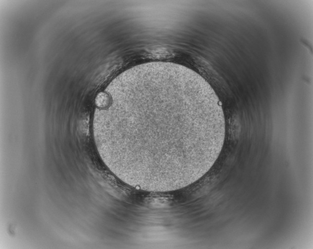 X0000102390368200808291428