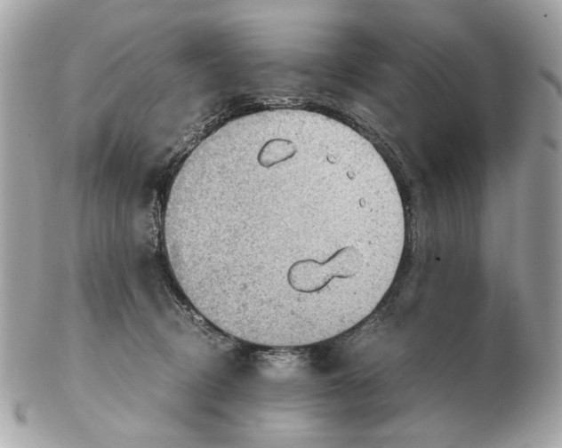X0000102390370200808291428