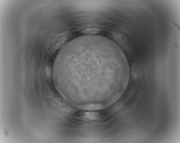 X0000102390371200808291428
