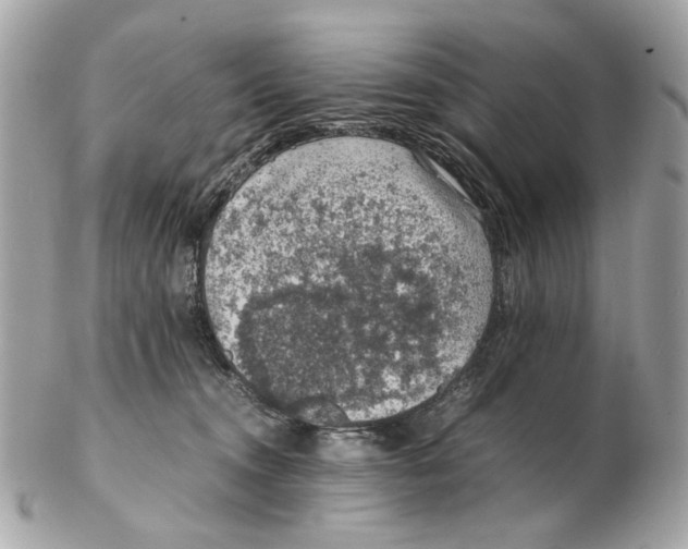 X0000102390372200808291428