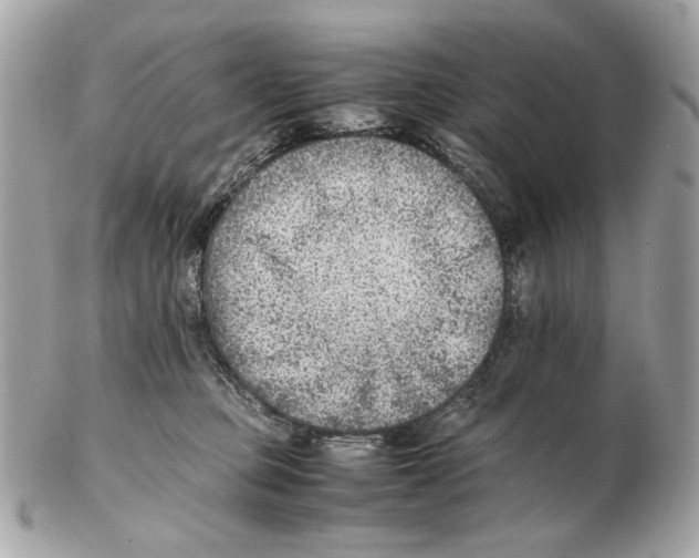 X0000102390373200808291428