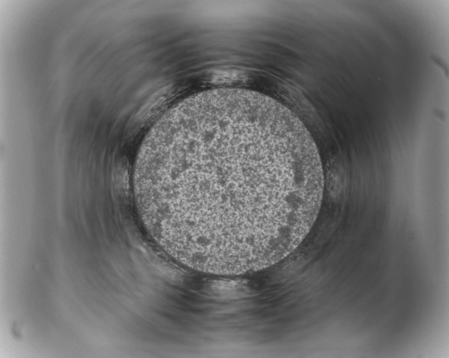 X0000102390375200808291428