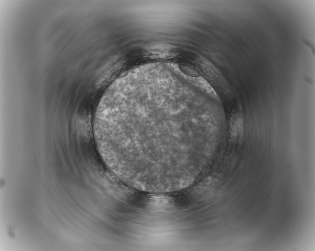 X0000102390376200808291428