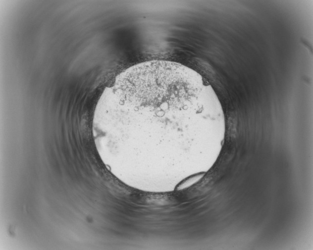 X0000102390377200808291429