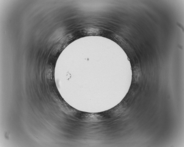 X0000102390379200808291429
