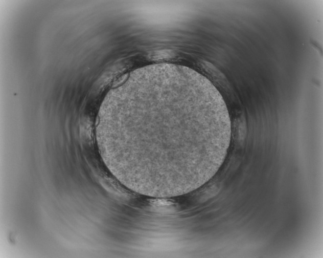 X0000102390380200808291429