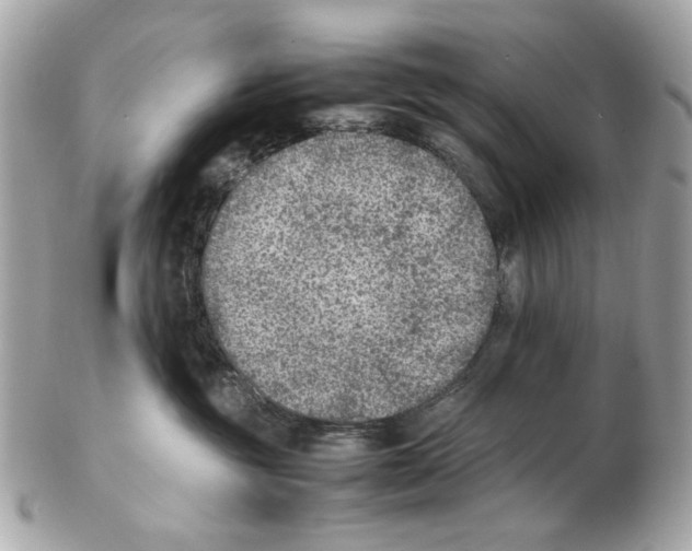 X0000102390381200808291429