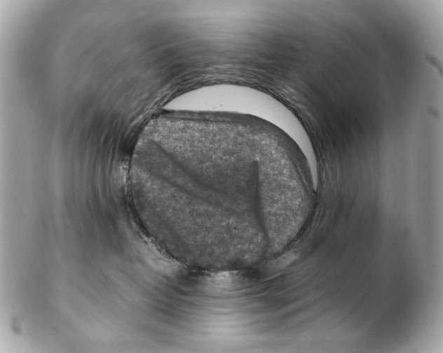 X0000102390382200808291429