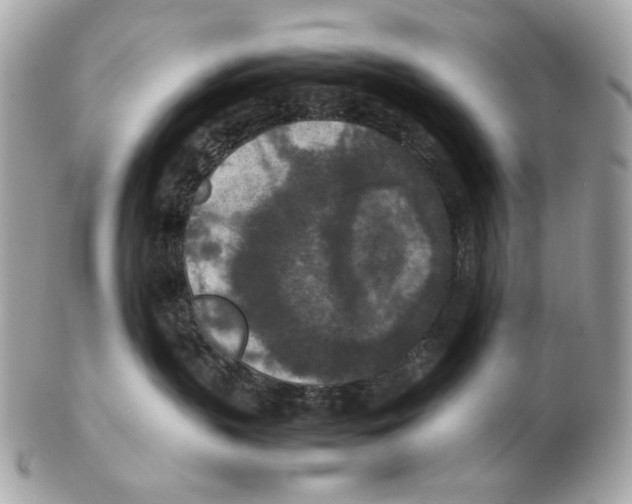 X0000102390383200808291429