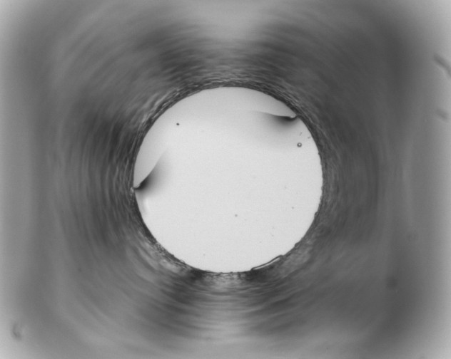 X0000102390384200808291429