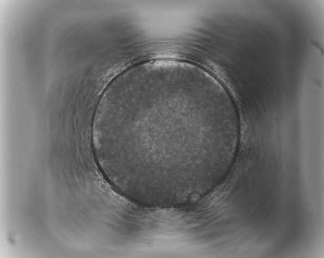 X0000102390385200808291428