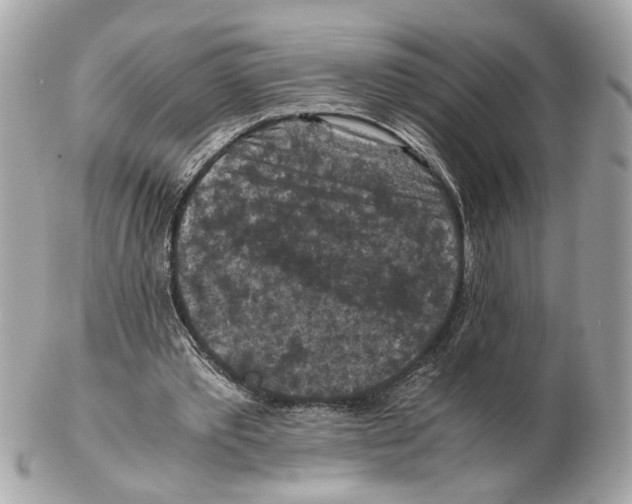 X0000102390389200808291428