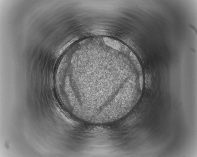 X0000102390390200808291428