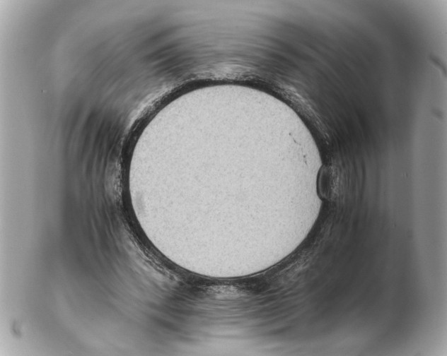X0000102390392200808291428