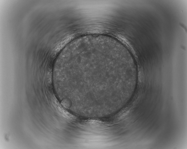 X0000102390393200808291428