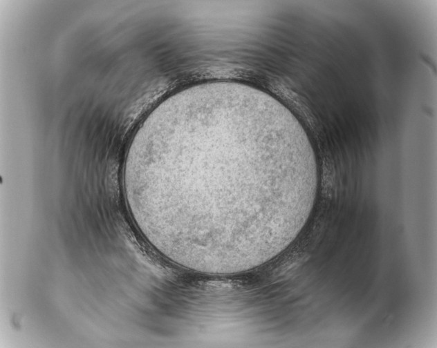 X0000102390394200808291428