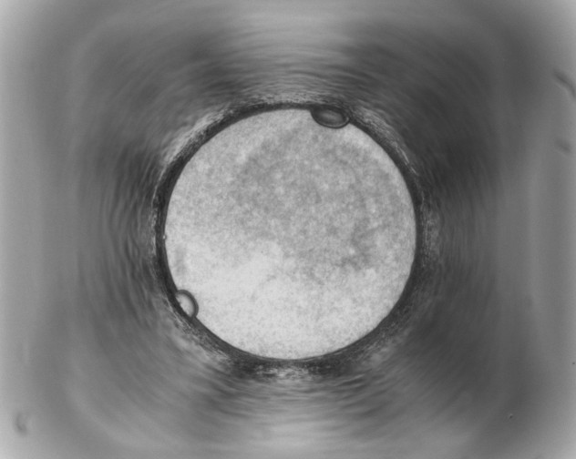 X0000102390395200808291428