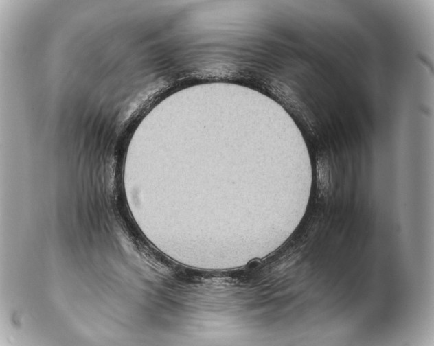 X0000102390396200808291428