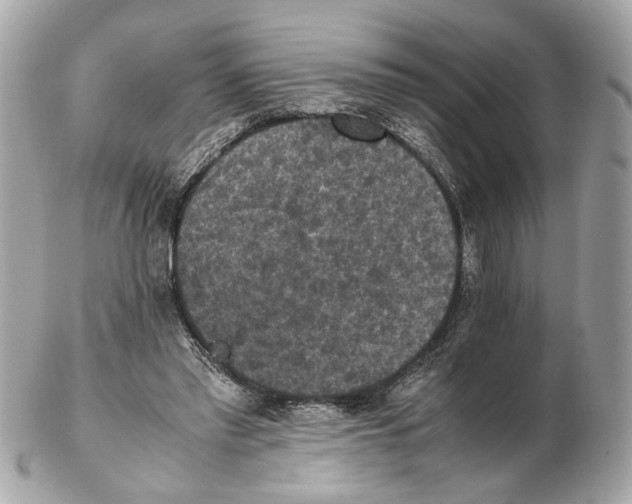 X0000102390397200808291428