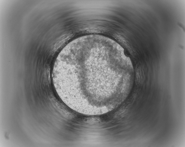 X0000102390398200808291428